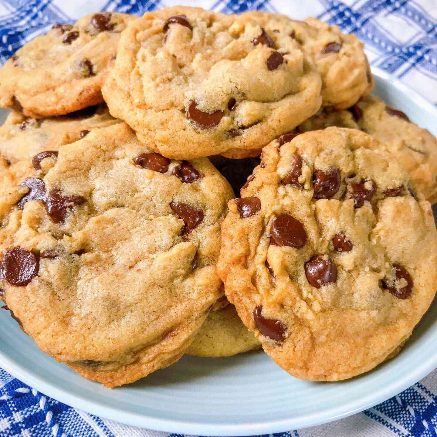 Best Big, Fat, Chewy Chocolate Chip Cookie Recipe